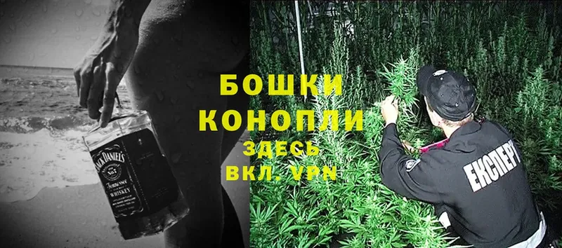 Конопля OG Kush  хочу   Фёдоровский 